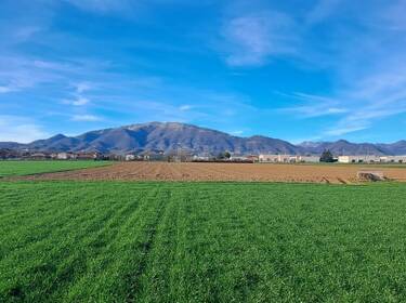 foto principale del terreno