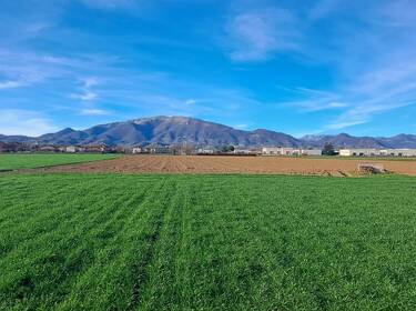 foto principale del terreno