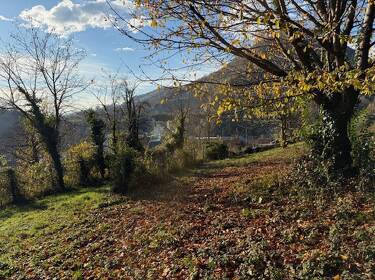 foto principale del terreno