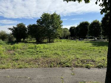 foto principale del terreno