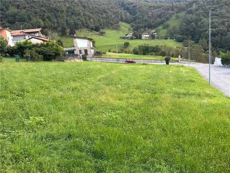 foto principale del terreno