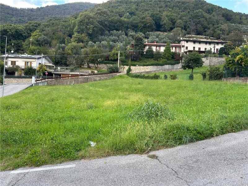 foto principale del terreno
