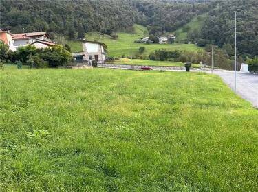 foto principale del terreno