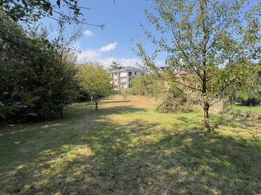 foto principale del terreno