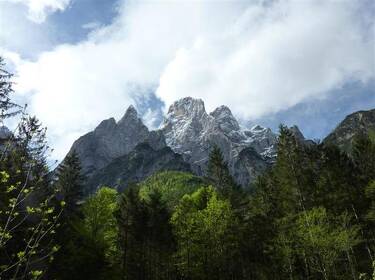 foto principale del terreno