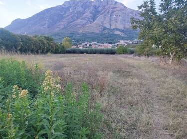 foto principale del terreno