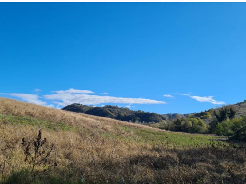 foto principale del terreno