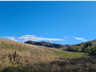 foto principale del terreno
