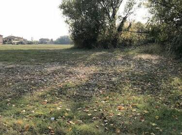 foto principale del terreno