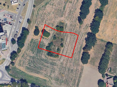 foto principale del terreno