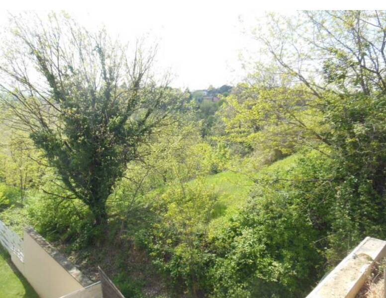 foto principale del terreno