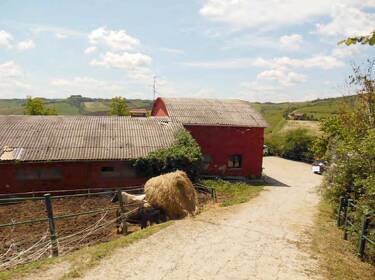 foto principale del terreno