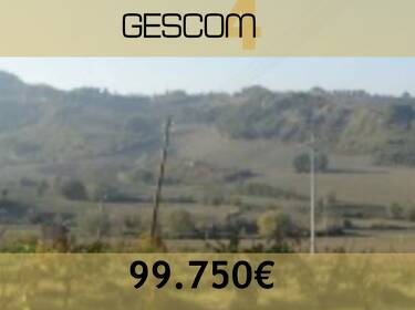 foto principale del terreno