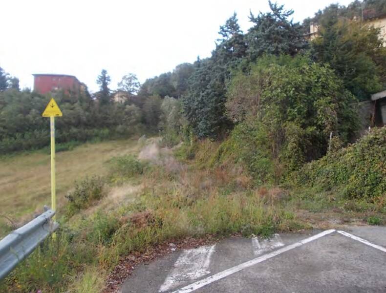 foto principale del terreno