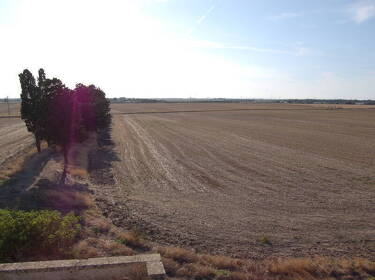 Masseria Bardi Nuovi - Tuturano (BR)