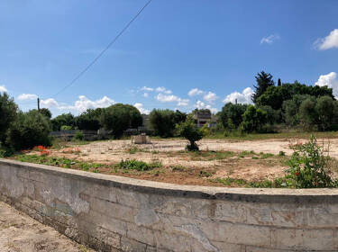 foto principale del terreno