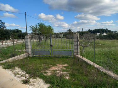 foto principale del terreno