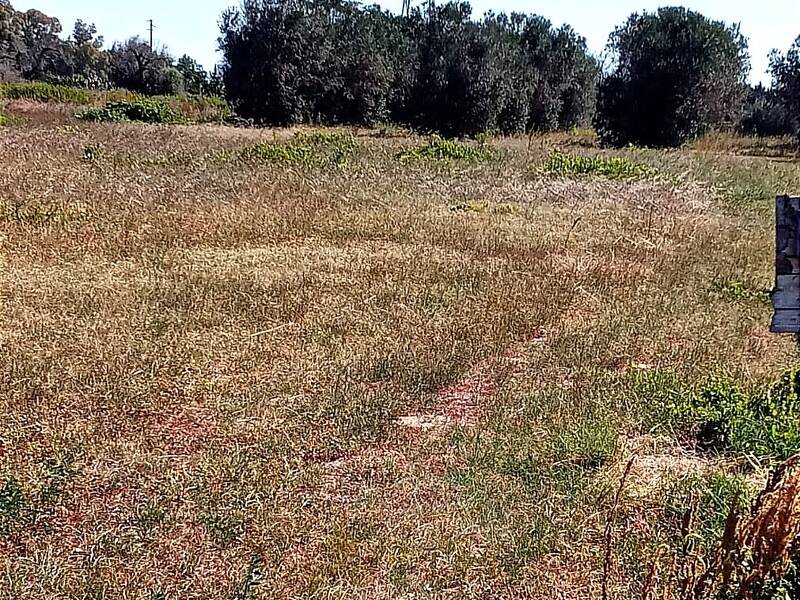 foto principale del terreno