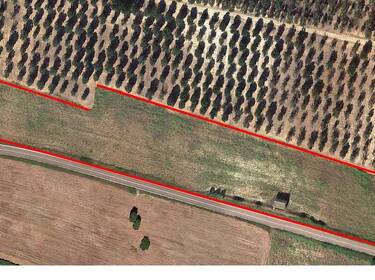 foto principale del terreno