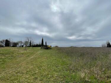 foto principale del terreno