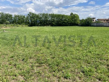 foto principale del terreno