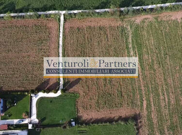 foto principale del terreno