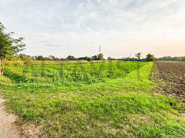 foto principale del terreno