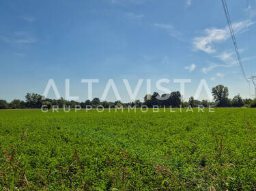 foto principale del terreno