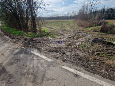 foto principale del terreno