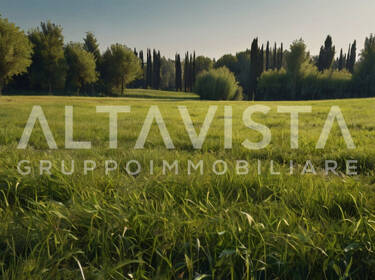 foto principale del terreno