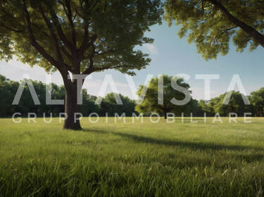 foto principale del terreno