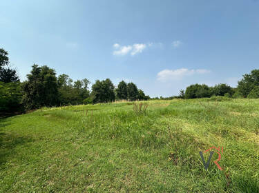 foto principale del terreno