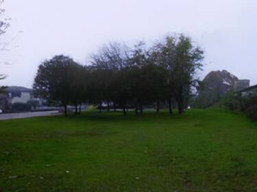 foto principale del terreno