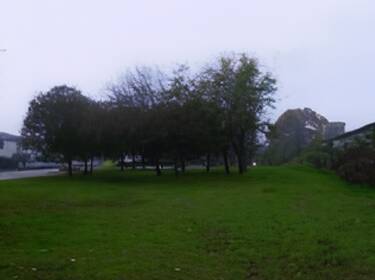 foto principale del terreno