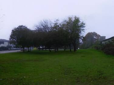 foto principale del terreno