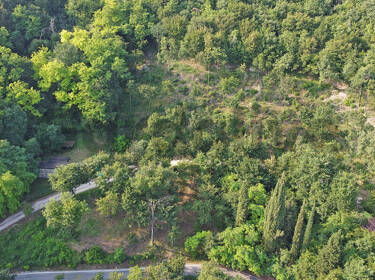 foto principale del terreno