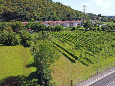 foto principale del terreno