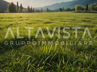 foto principale del terreno