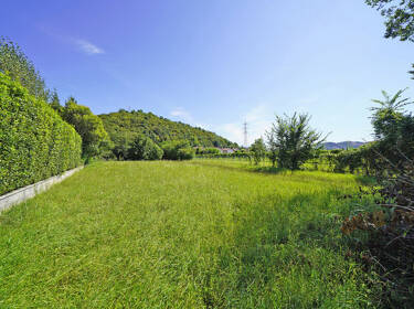 foto principale del terreno