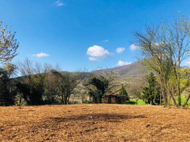 foto principale del terreno