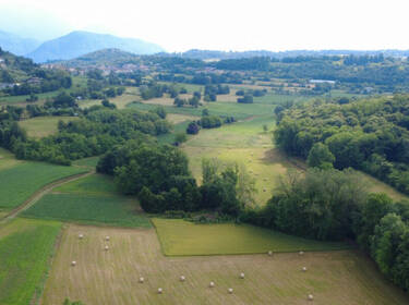 foto principale del terreno