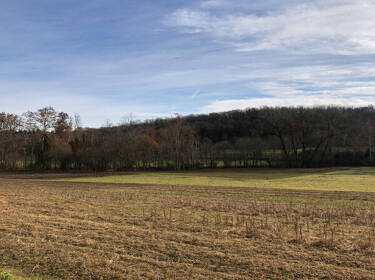 foto principale del terreno