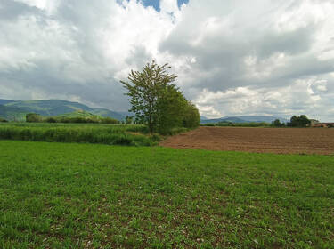 foto principale del terreno