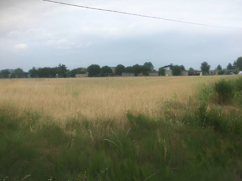foto principale del terreno