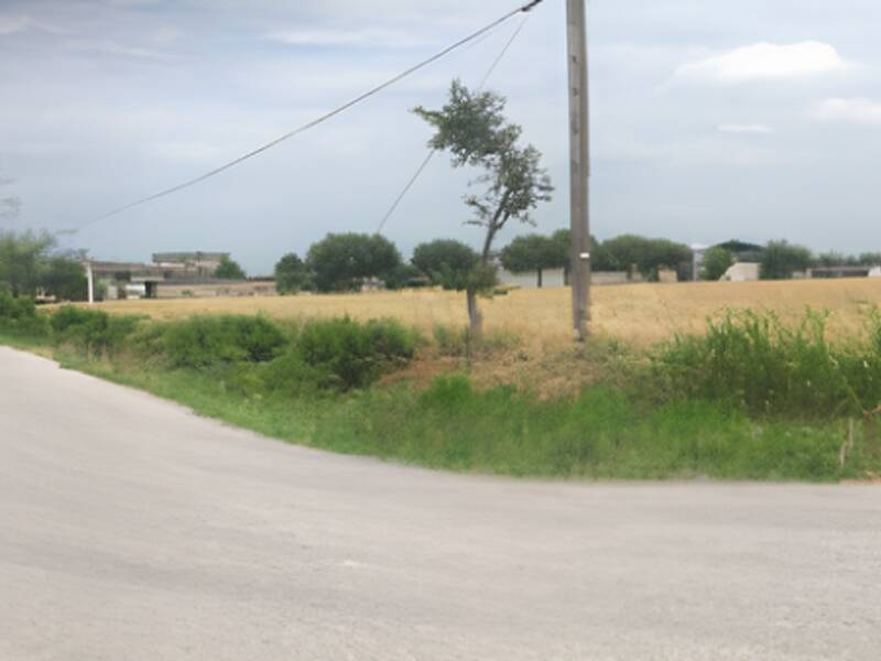 foto principale del terreno