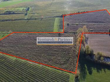 foto principale del terreno