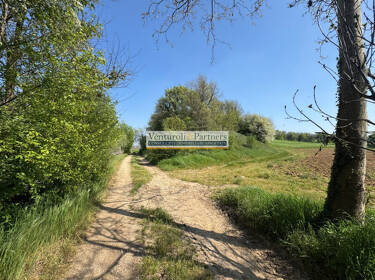 foto principale del terreno