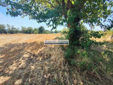 foto principale del terreno