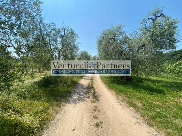 foto principale del terreno