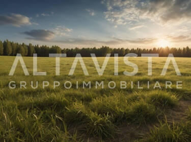 foto principale del terreno